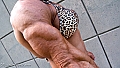 Christine Envall ~ All Muscle